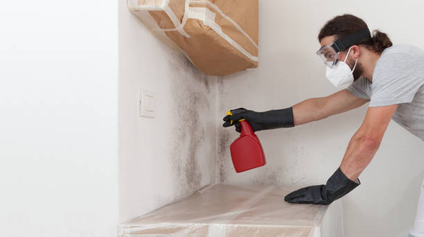 Attic Mold Remediation treatment on roof deck in Greenville